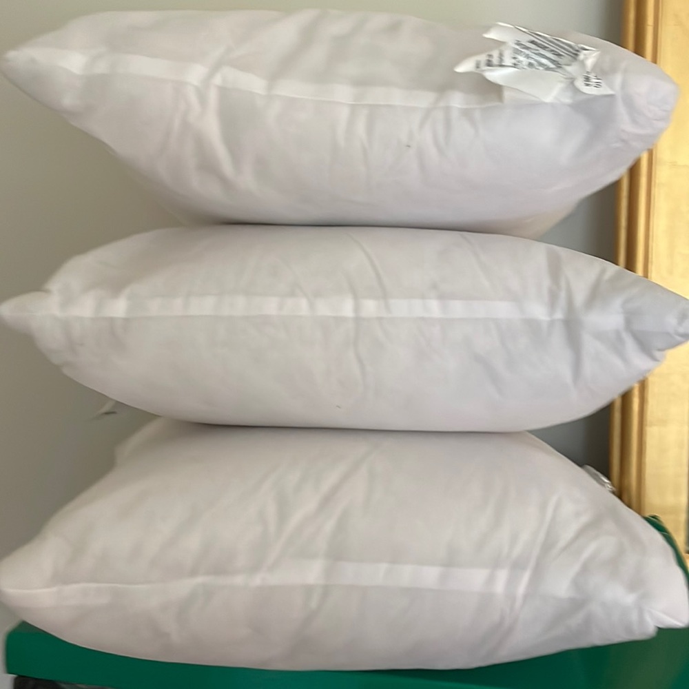 Three brand new pillow inserts.